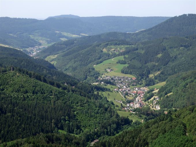 O treime din suprafața totală a Germaniei este acoperită de păduri.